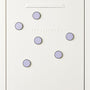 The Buttons - Lilac