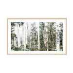 Bushland Art Print