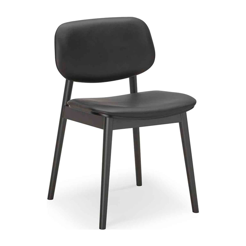 Black / Black Oak