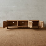 Doug TV Unit