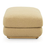 Airlie Camel