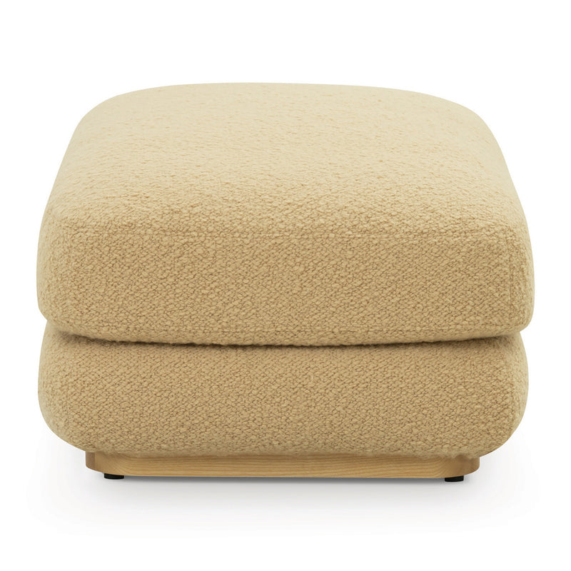 Airlie Camel