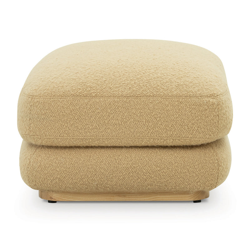 Airlie Camel
