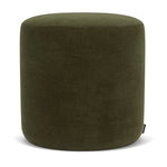 Moss Olive