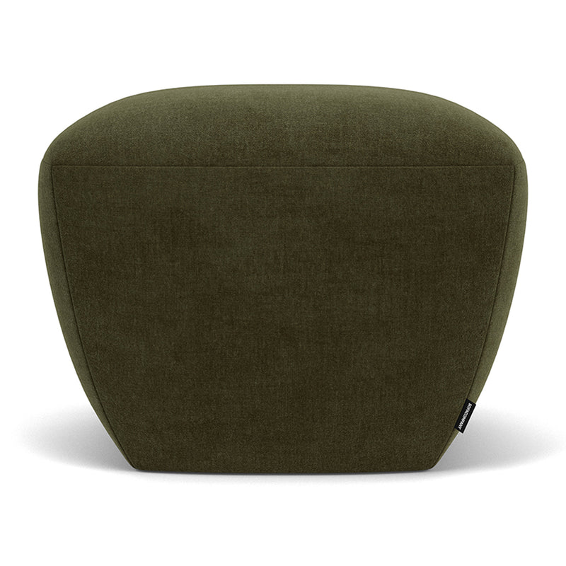 Moss Olive
