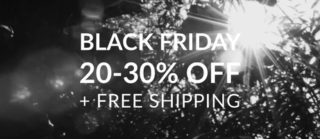 Black Friday Sale