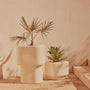 Khouie Outdoor Planter (Large) - Husk