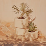 Khouie Outdoor Planter (Small)