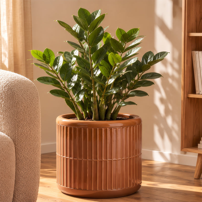 Terracotta