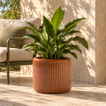Terracotta