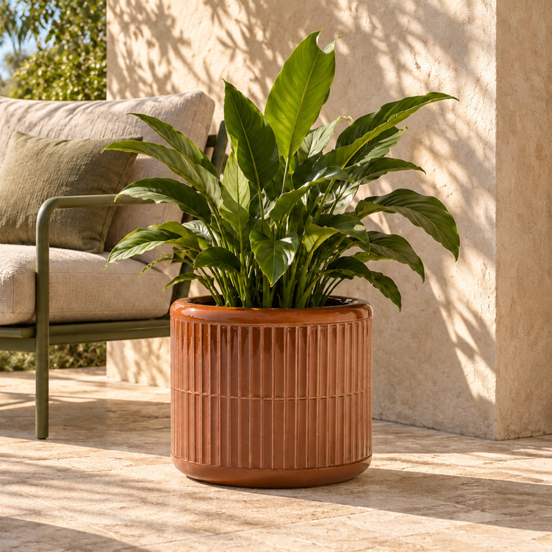 Terracotta