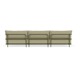 Clary Sage Green