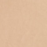 Ellison Studios Swatch - Malibu Dune