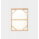 Cockatoo Portrait 2 Framed Canvas