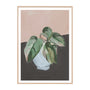 Plant Study Blush 1 Print - 33 x 45cm