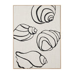 Shell Collection Framed Screenprint