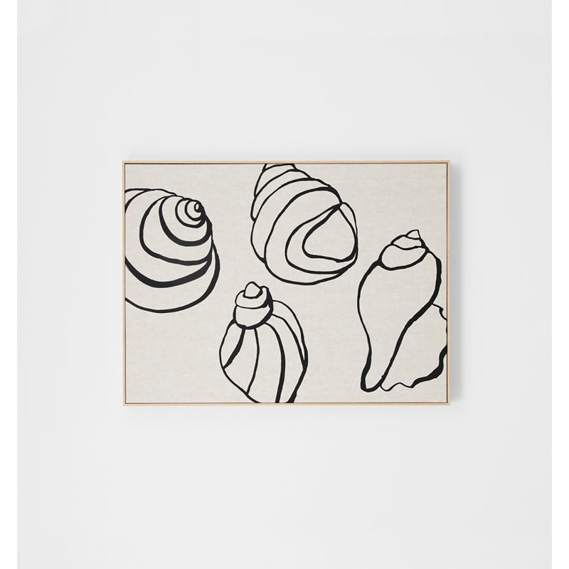Shell Collection Framed Screenprint
