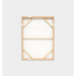 Shell Collection Framed Screenprint
