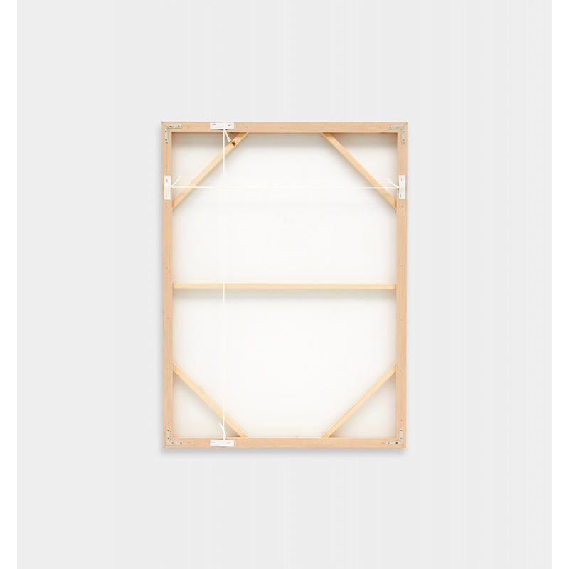 Shell Collection Framed Screenprint