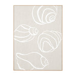 Shell Collection Framed Screenprint