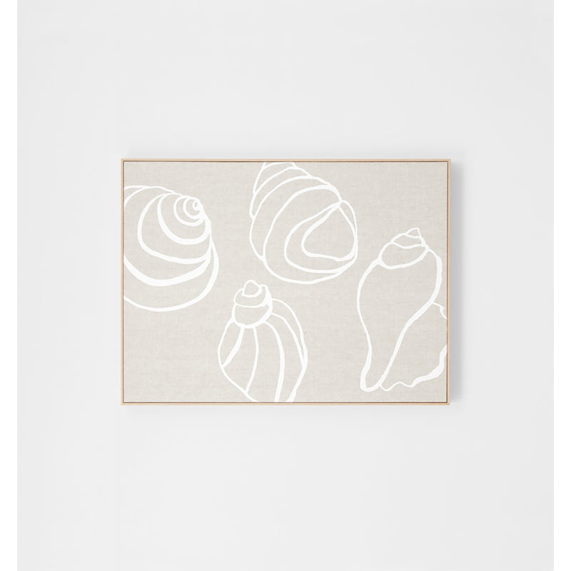 Shell Collection Framed Screenprint
