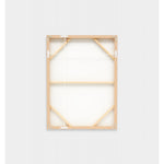 Shell Collection Framed Screenprint