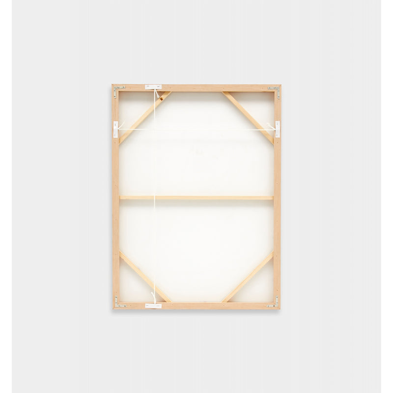 Shell Collection Framed Screenprint