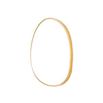 Organic Mirror (Brass)